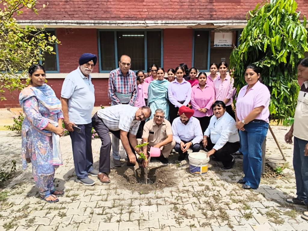 विश्व पर्यावरण दिवस पर पटियाला सोशल वेलफेयर सोसाइटी का संदेश अधिक से अधिक पेड़ लगाएं प्लास्टिक छोड़ें और पर्यावरण बचाएं